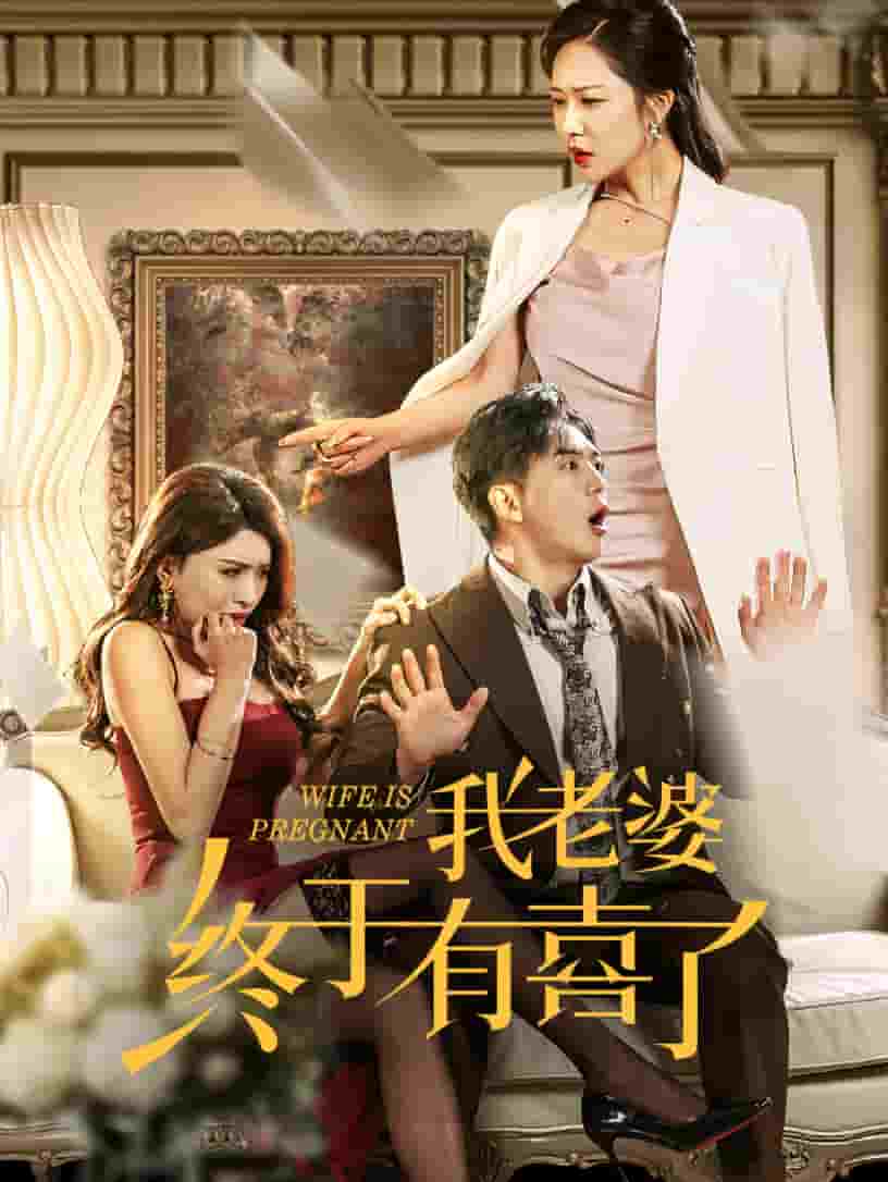 我老婆终于有喜了第01集