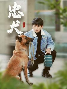忠犬（短剧版）第3集
