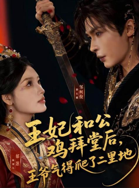 王妃和公鸡拜堂后，王爷气得爬了二里地(全集)