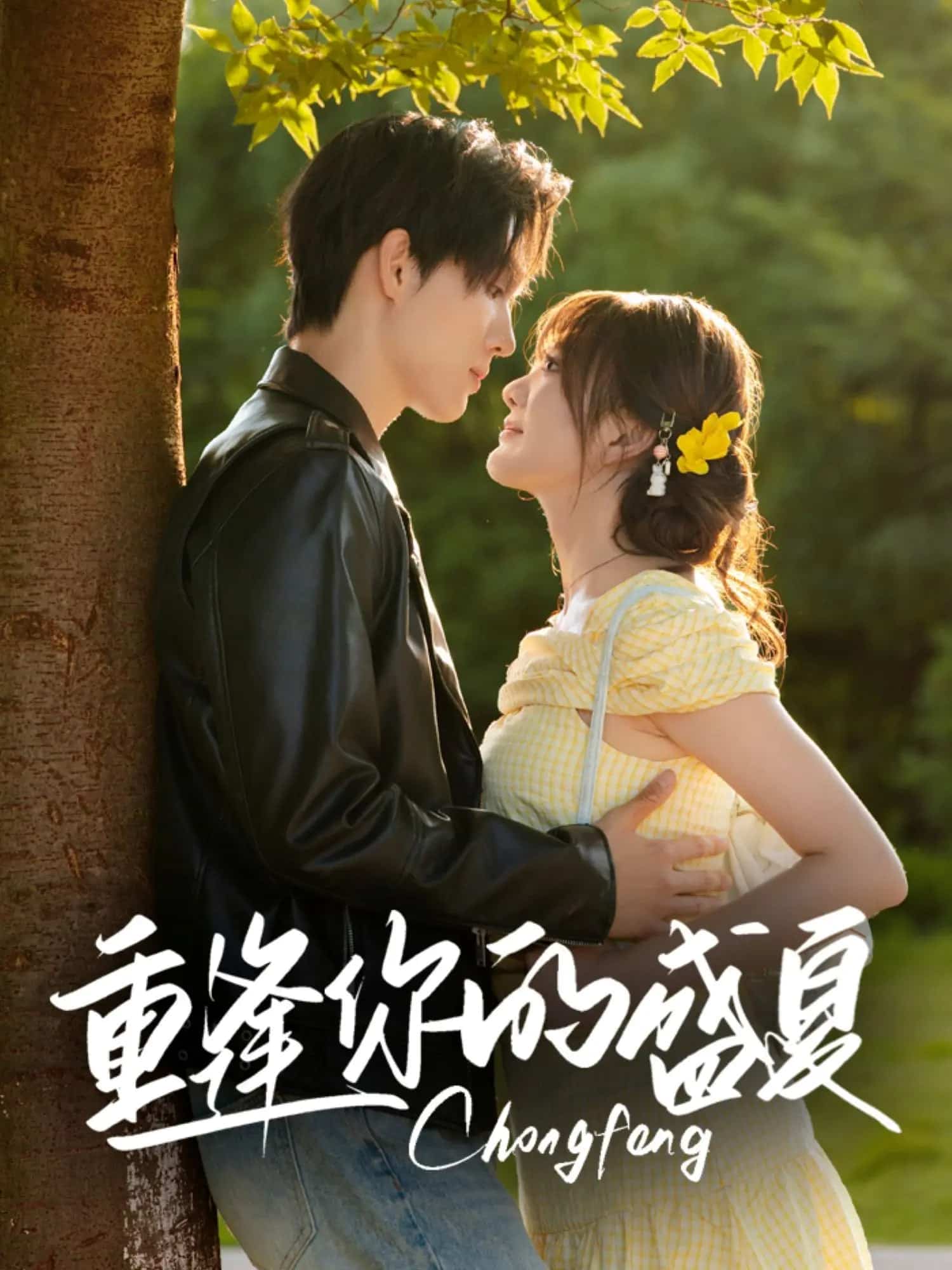 重逢你的盛夏(全集)